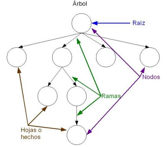 partes del arbol binario de busqueda